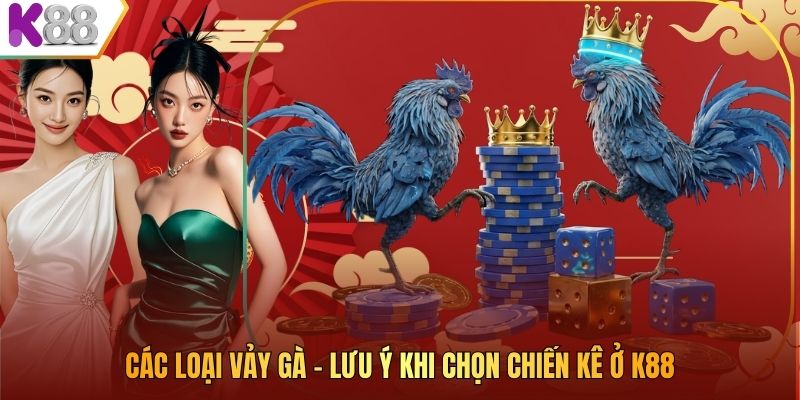 Các Loại Vảy Gà – Lưu Ý Khi Chọn Chiến Kê Ở K88