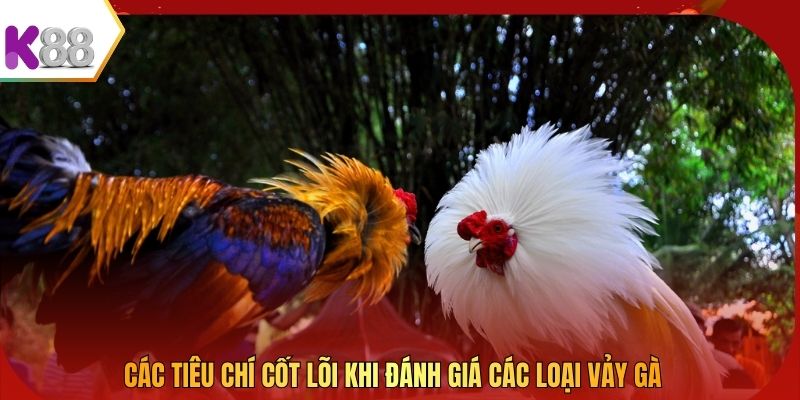 Các tiêu chí cốt lõi khi đánh giá các loại vảy gà