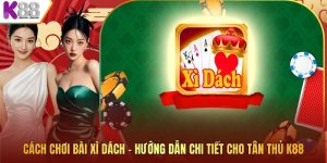 Cách Chơi Bài Xì Dách – Hướng Dẫn Chi Tiết Cho Tân Thủ K88