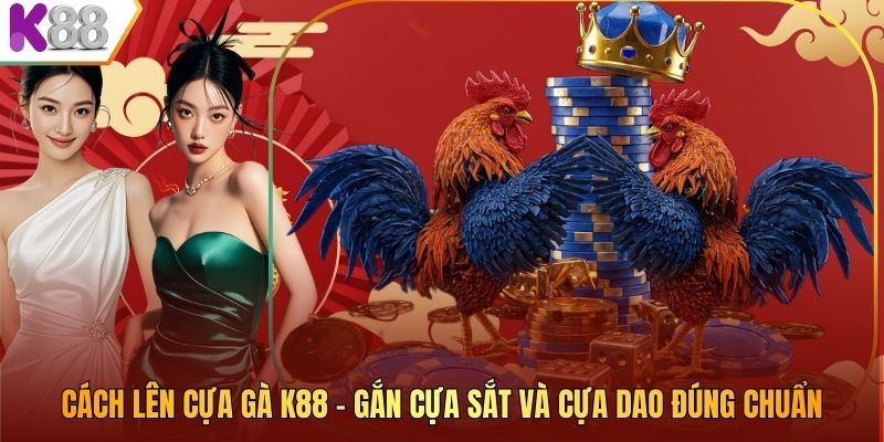 Cách Lên Cựa Gà K88 – Gắn Cựa Sắt Và Cựa Dao Đúng Chuẩn