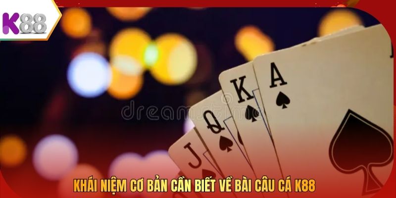 Khái niệm cơ bản cần biết về bài câu cá K88