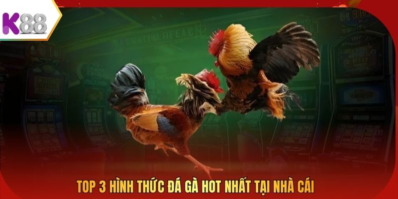 Top 3 hình thức đá gà hot nhất tại nhà cái