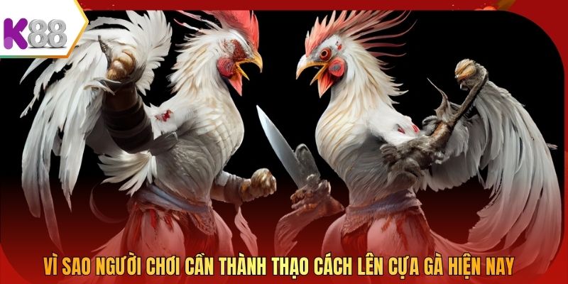 Vì sao người chơi cần thành thạo cách lên cựa gà hiện nay